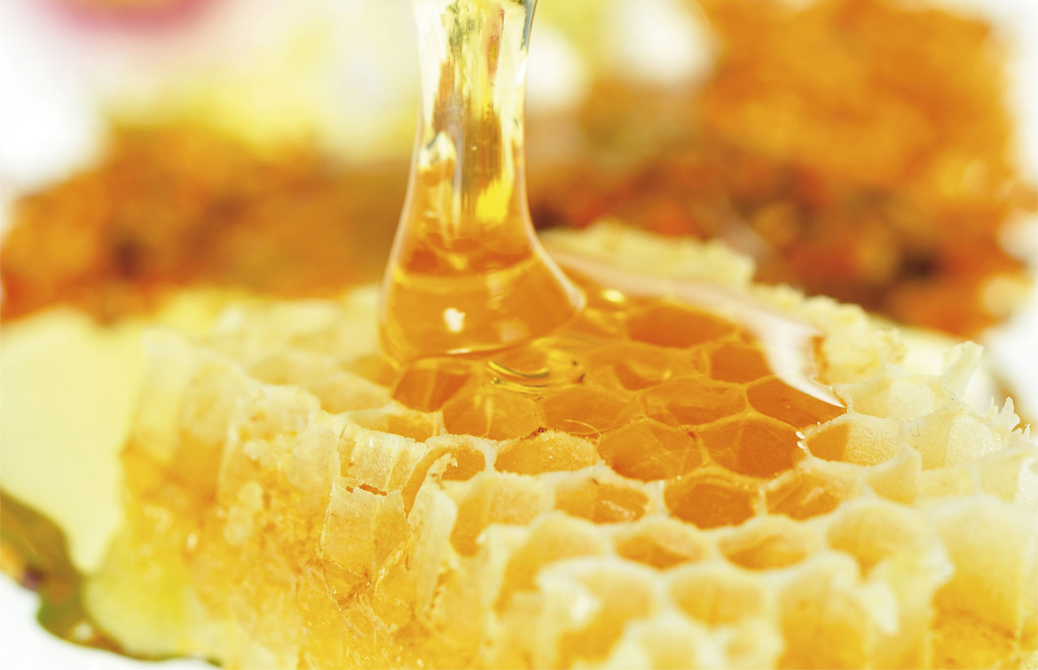 Honey of Provence