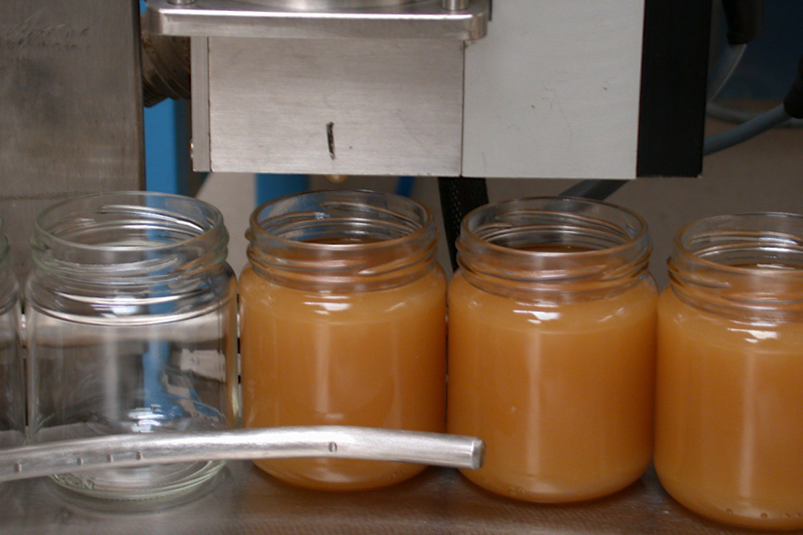 Honey production in Provence